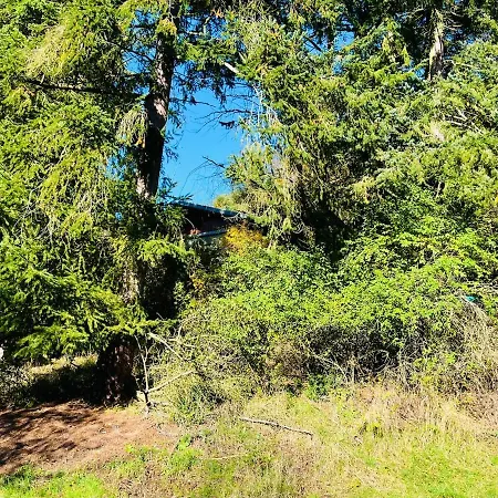 Waldhuette Mit Weitblick Appartamento