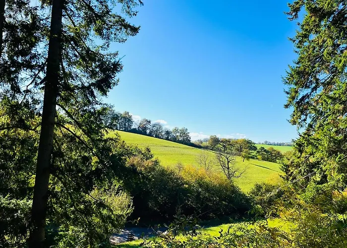 Apartment Waldhütte Mit Weitblick *