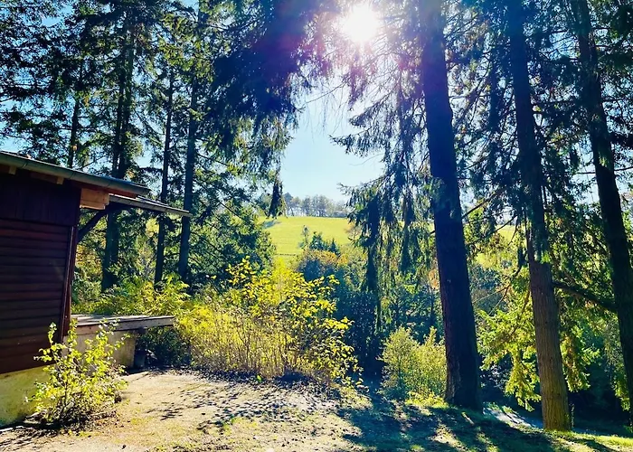 Apartment Waldhütte Mit Weitblick